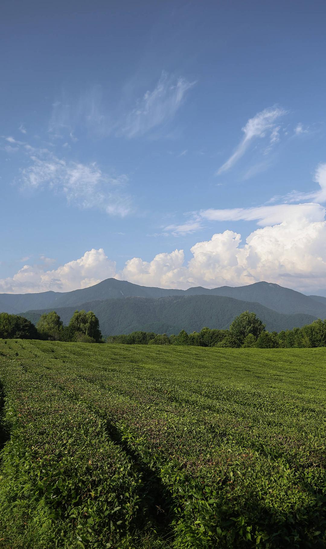blog_img